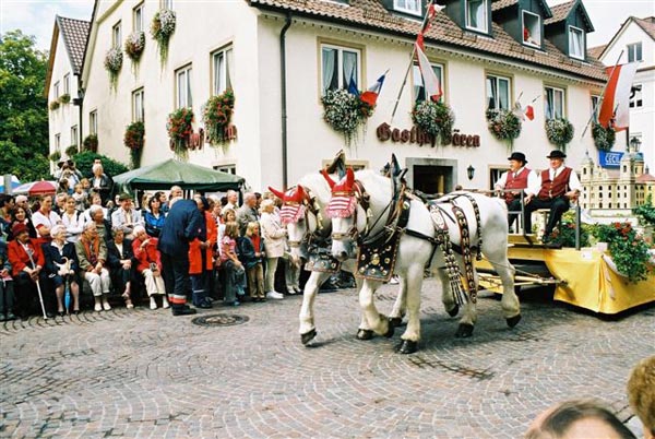 HT29
