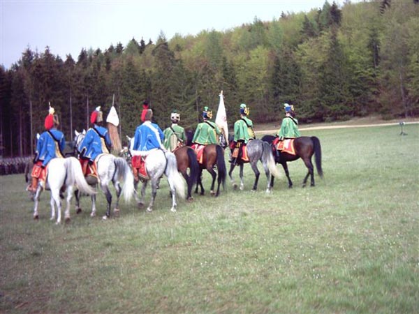 PCDV0050